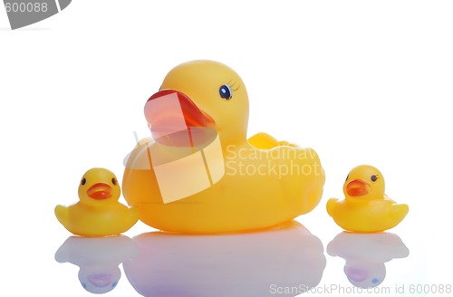 Image of rubber duck family