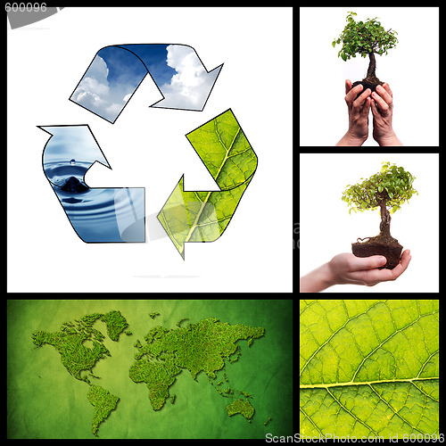 Image of Environmental collage