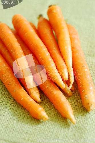 Image of fresh carrots