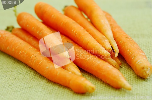 Image of fresh carrots