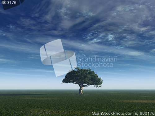 Image of peaceful