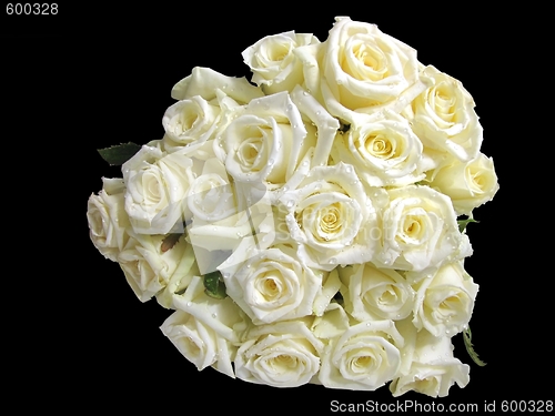 Image of white roses
