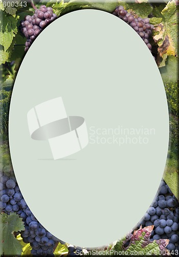 Image of vineyard frame with green oval