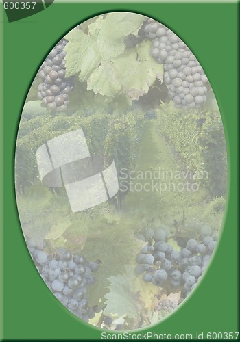 Image of VINEYARD-FRAME