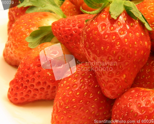 Image of Strawberry 5