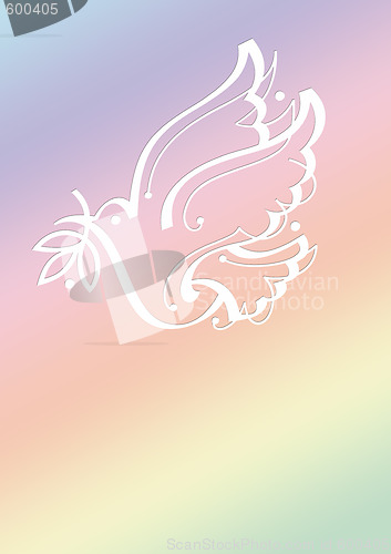 Image of white dove on gradient colored background