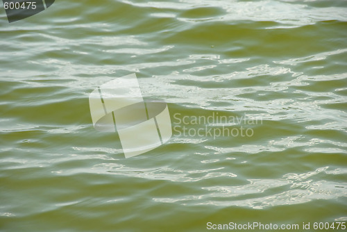 Image of Green water surface