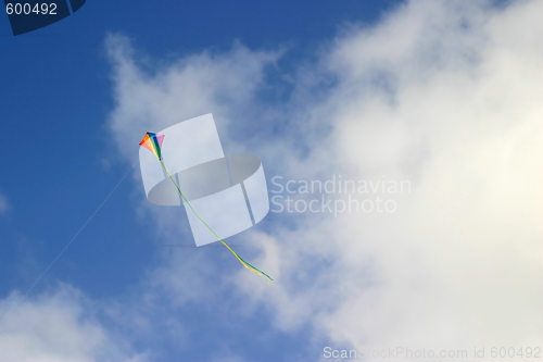 Image of Kite (6740)