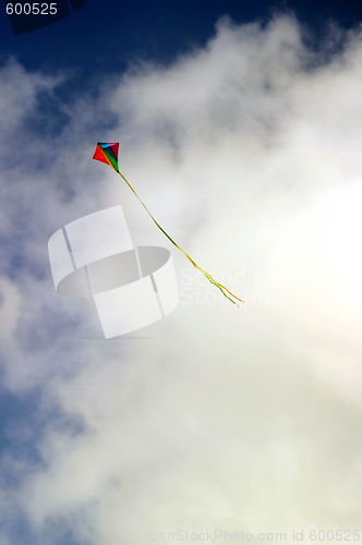 Image of Kite (6739)