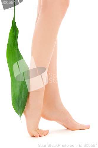 Image of female legs with green leaf