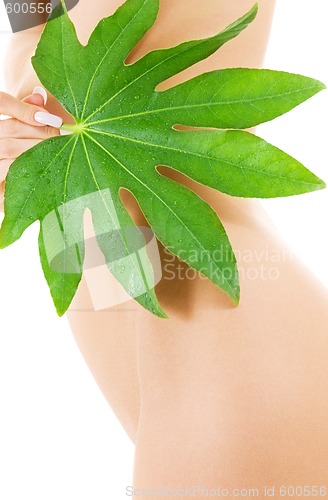 Image of female torso with green leaf over white