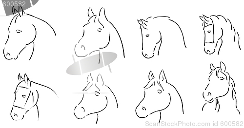 Image of horses