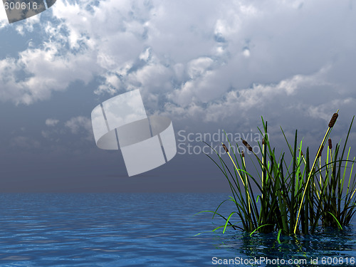 Image of storm