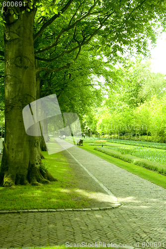 Image of park