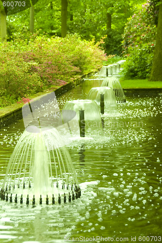 Image of park