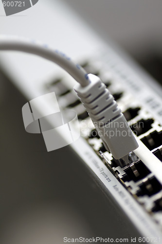 Image of Network cable connected to a switch