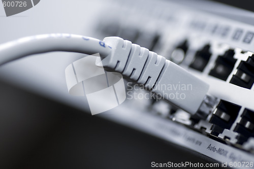 Image of Network cable connected to a switch