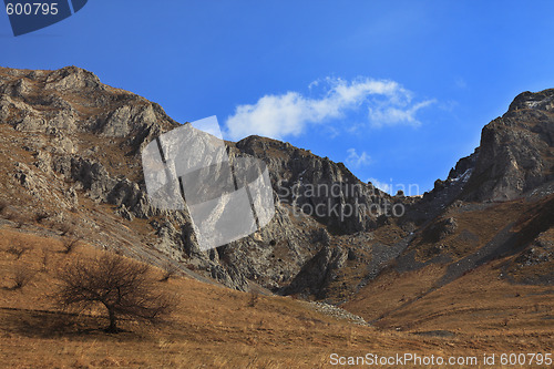 Image of Trascau Mountains,Romania