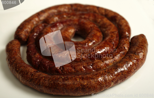 Image of A grilled boerewors sausage on a plate