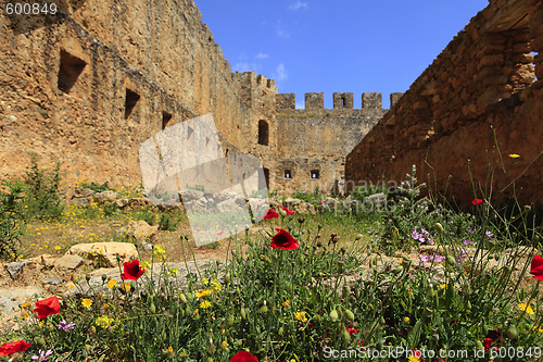 Image of Poppies in castle ruins