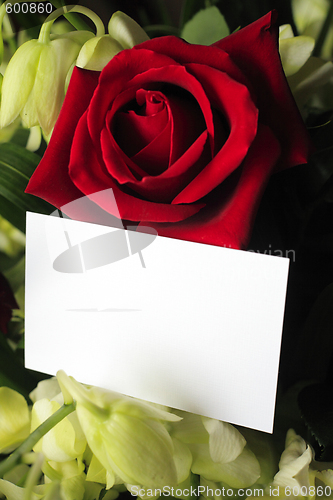 Image of Red roses, orchids and a blank card