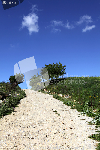 Image of Cretan country lane