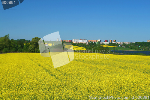 Image of May scene
