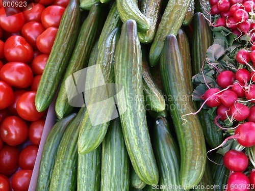 Image of Cucumbers, Tomatoes and Radish 