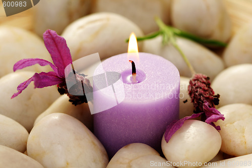 Image of candle and lavender