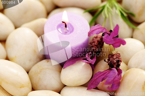 Image of candle and lavender