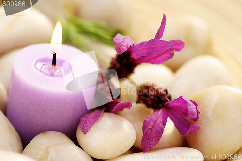 Image of candle and lavender