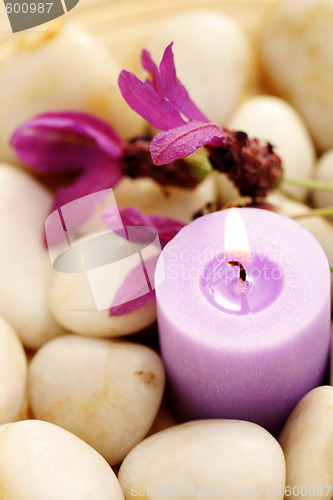 Image of candle and lavender