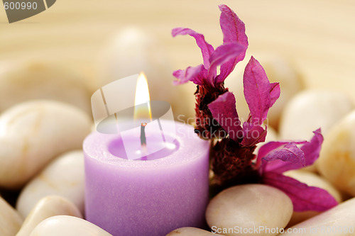 Image of candle and lavender