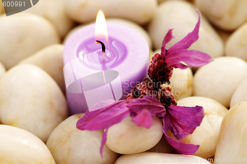 Image of candle and lavender