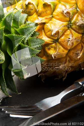 Image of pineapple