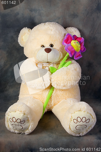 Image of Teddy bear with flower