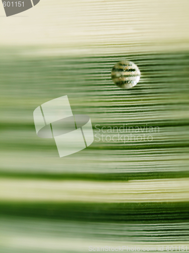 Image of Rain drop
