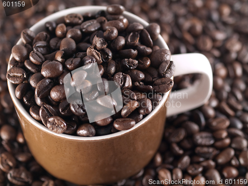 Image of Spilled coffee beans