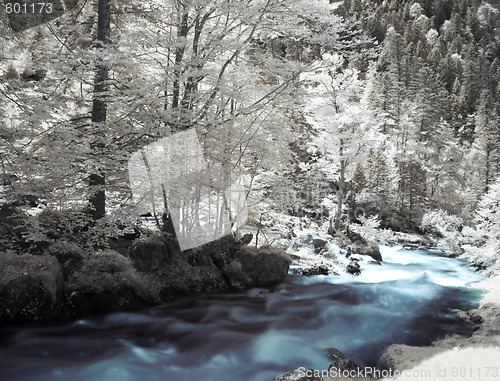 Image of Infrared landscape