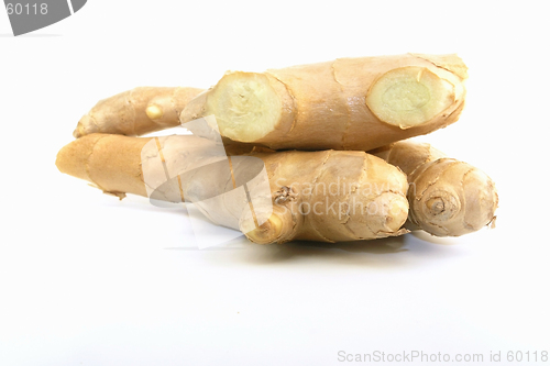 Image of Ginger