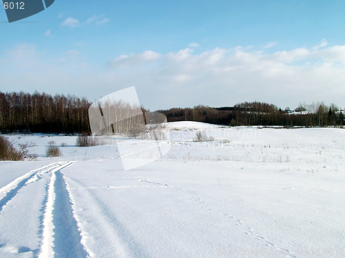 Image of Winter landscape