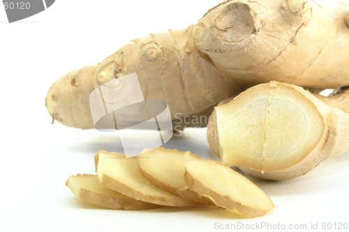 Image of Ginger