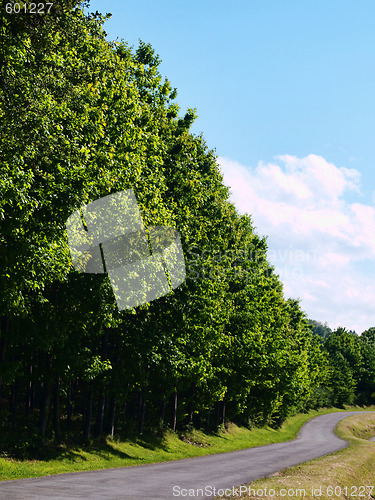 Image of Road in the countryside