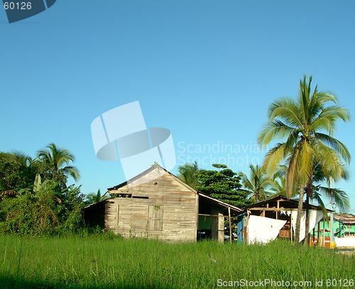 Image of panama 292