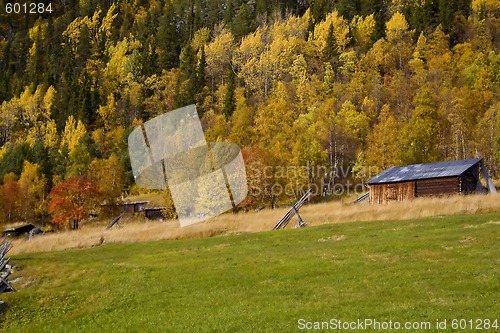 Image of Landscape in fall