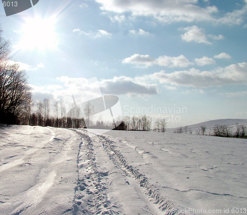 Image of Winter landscape 1