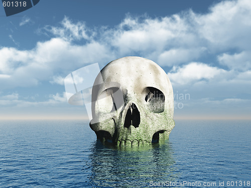 Image of skull