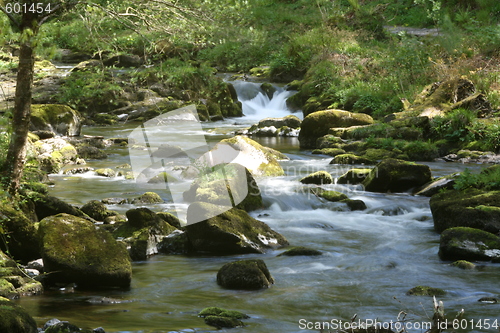 Image of watersmeet - soft