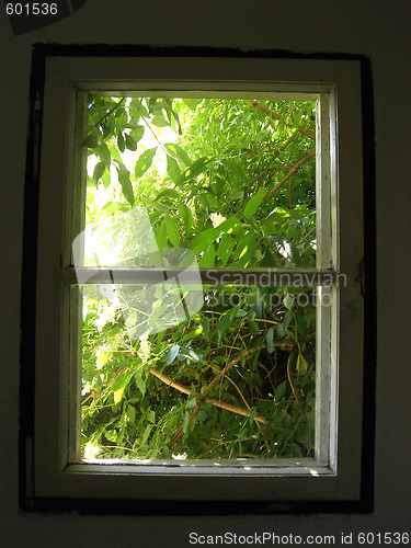 Image of window