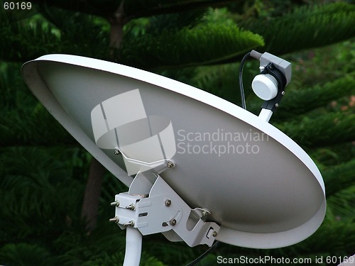 Image of Dish